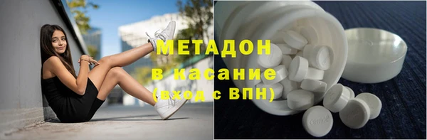 хмурый Аркадак