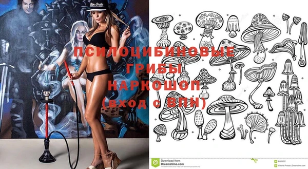 ешки Балахна